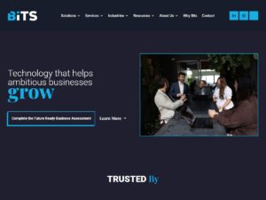BITS Technology Group