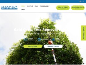 Gold Coast Tree Removal